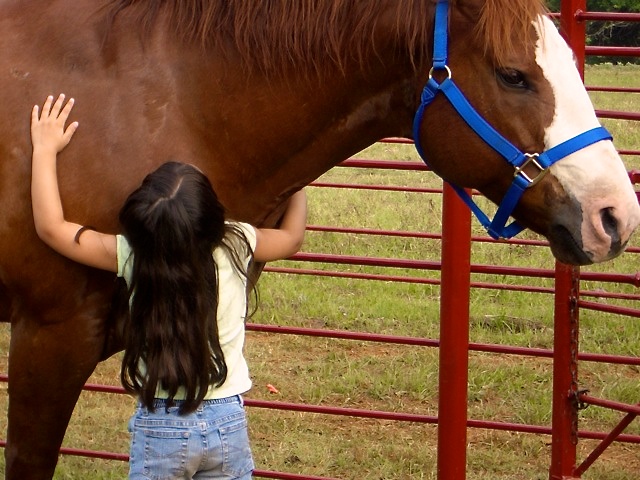 Equine Assited Counseling